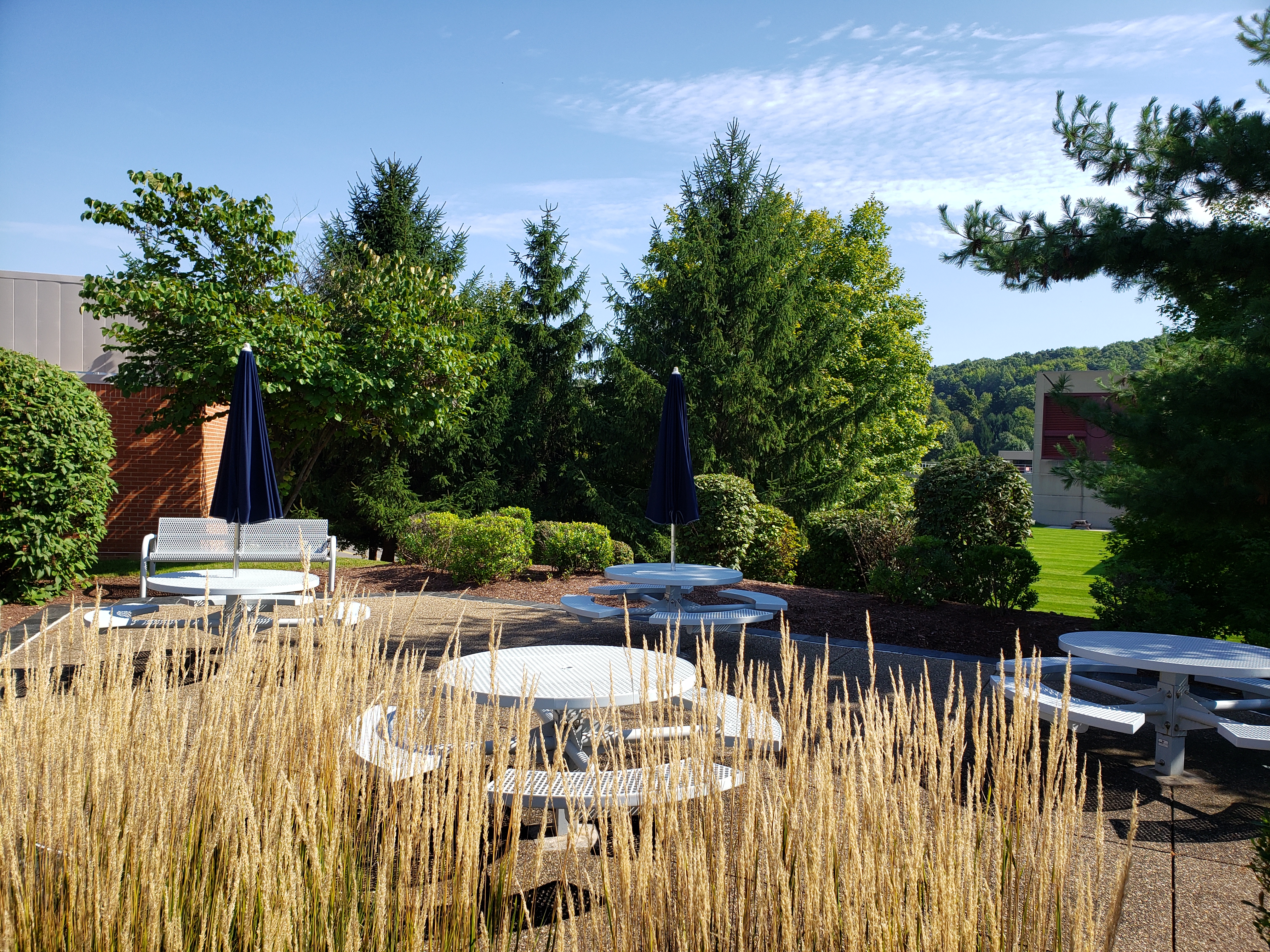 Cranberry Woods Patio 800 Cranberry Woods
